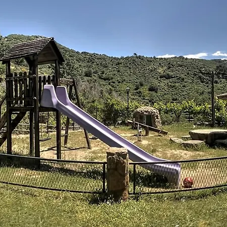 Rurales El Solitario *