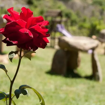Lejlighed Rurales El Solitario Banos De Montemayor